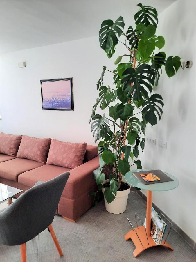 Apartment Mato Барбарига Экстерьер фото